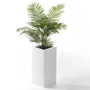 tall square matte white planter white cut out